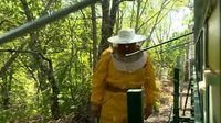 Vandal oštetio 22 košnice - 3