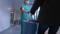Transplantacija - 1