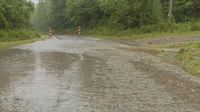 Posljedice nevremena u Virovitičko-podravskoj županiji - 2