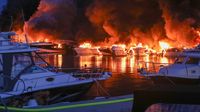 U Marini Medulin požar zahvatio velik broj brodica - 5