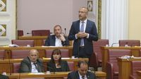 Hrvoje Zekanović, saborski zastupnik