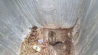 Intervencija vatrogasaca u Makarskoj - 5