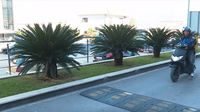 Napad na Neplace - 2