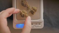 Droga - 4