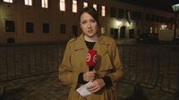Sanja Vištica