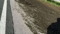 Kamion se prevrnuo na autocesti A3 - 1