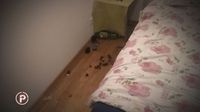 Nered koji je u stanu Nevenke Bos ostavila njezina bivša podstanarka (Foto: Dnevnik.hr) - 2