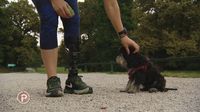 Provjereno: Invaliditet ih nije zaustavio - 3