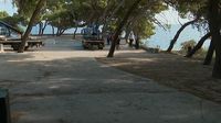 Šumica, plato s borovima iznad splitske plaže Ovčice - 2