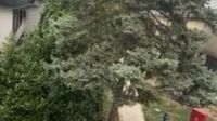 Mjesto gdje se zapalio gradski vijećnik - 1