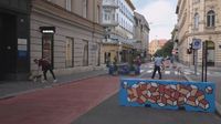 Pješačka zona u Masarykovoj - 3