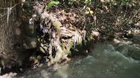 Zagađenje na Bledu - 2