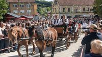Svečanost 54. branje grojzdja