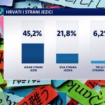 Hrvati i strani jezici (Foto: Dnevnik.hr)