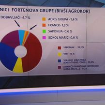 Podaci o vlasnicima Fortenove grupe (Foto: Dnevnik.hr)