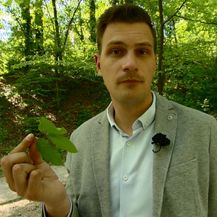 Dino Goleš o naknadi za šume(Foto: Dnevnik.hr)
