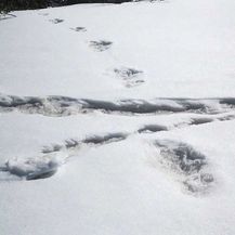 Stope u snijegu (Foto: Twitter/indijska vojska)