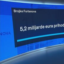 Grupacija Fortenova - 4