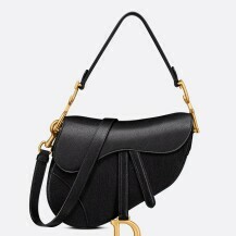Dior Saddle
