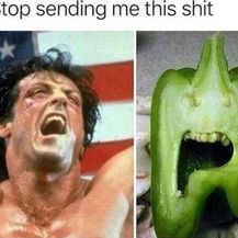 Meme (Foto: thechive.com)