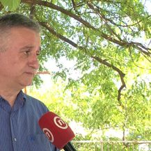 Tomislav Karamarko (Foto: Dnevnik.hr)