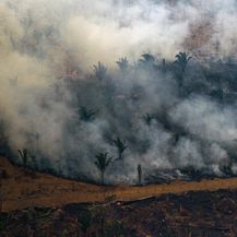 Požar u Amazoni (Foto: AFP)