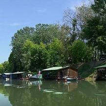 Život na Savi - 1