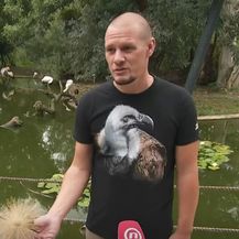 Jadranko Boras, veterinar zagrebačkog ZOO-a