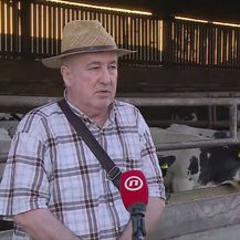 Mato Mamić