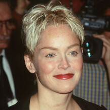 Sharon Stone 1993. godine