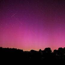 Perzeidi i aurora borealis u Poljskoj