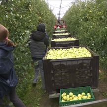 U lancu proizvodnje hrane nešto ne štima (Foto: Dnevnik.hr) - 2