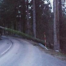 Srušena stabla u Gorskom kotaru (Foto: Antonio Đaković)