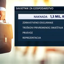 Državna revizija utvrdila nepravilnosti (Foto: Dnevnik.hr)