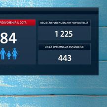 Najmanje posvojene djece u posljednjih 10 godina (Foto: Dnevnik.hr) - 3