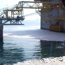 LNG terminal ekološka bomba? (Foto: Dnevnik.hr) - 2