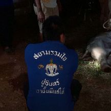 Tajlanđanin oživio stradalog slona - 3