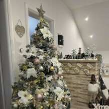 Božićno uređenje kuće i okućnice Marije Ričko iz okolice Ludbrega - 7