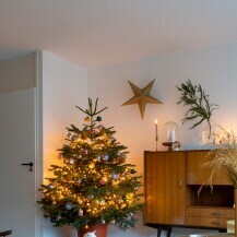 Božićno drvce -