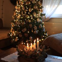 Božićno drvce Dijane Škrnički Matota