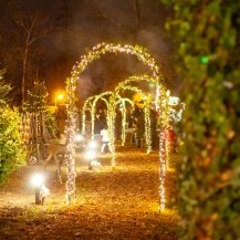 Advent na Tuškancu