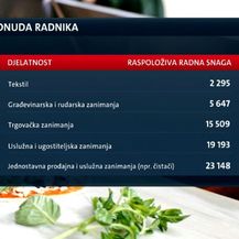 Nedostatak radne snage (Foto: Dnevnik.hr) - 1
