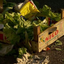 Hrana se prerano baca u otpad (Foto: Dnevnik.hr) - 3
