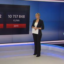 Video-zid Romine Knežić o doniranju hrane (Foto: Dnevnik.hr) - 2