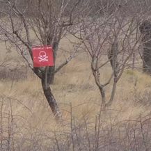 Minsko polje (Foto: Dnevnik.hr) - 3