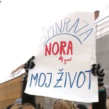 Prosvjed za spinrazu (Foto: Dnevnik.hr) - 2