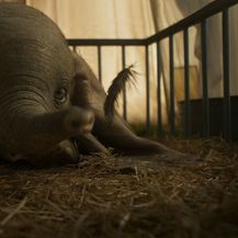 Scene iz Disneyjevog filma \'Dumbo\' o slavnom letećem sloniću - 5