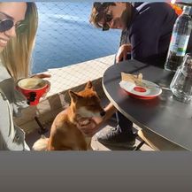 Franka Batelić i Vedran Ćorluka (Foto: Instagram)