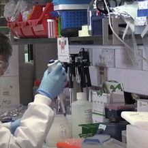Liječnici proučavaju nove sojeve koronavirusa - 1