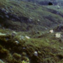 Prizor iz filma 4700 kilometara daleko - 2